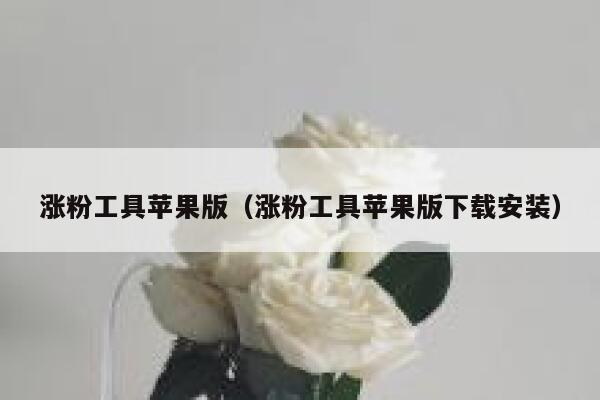 涨粉工具苹果版（涨粉工具苹果版下载安装） 第1张