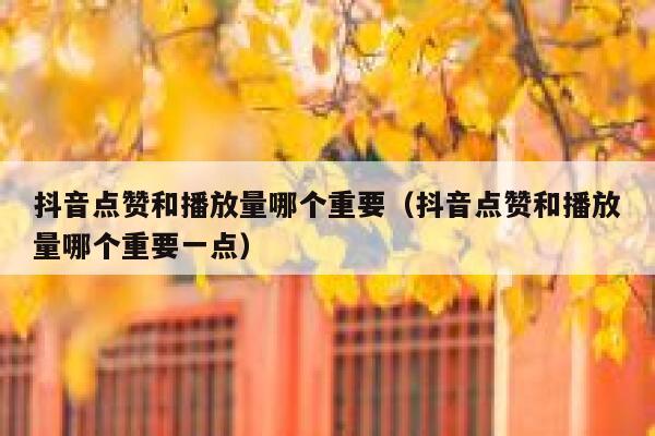 抖音点赞和播放量哪个重要(抖音点赞和播放量哪个重要一点) 第1张 抖音点赞和播放量哪个重要(抖音点赞和播放量哪个重要一点) 第1张