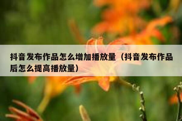 抖音发布作品怎么增加播放量（抖音发布作品后怎么提高播放量） 第1张