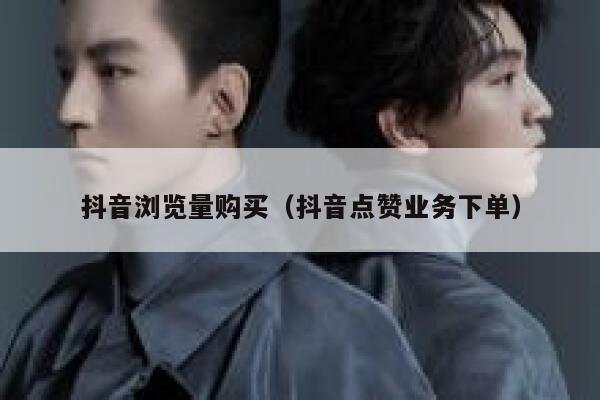 抖音浏览量购买（抖音点赞业务下单） 第1张