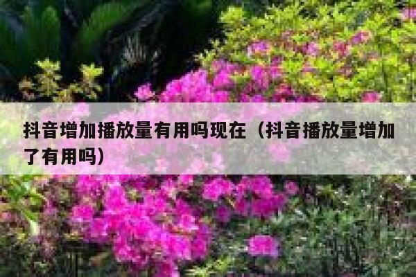 抖音增加播放量有用吗现在(抖音播放量增加了有用吗) 第1张 抖音增加播放量有用吗现在(抖音播放量增加了有用吗) 第1张