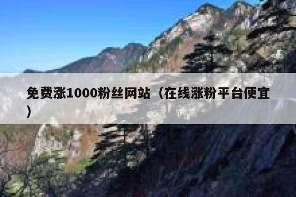 免费涨1000粉丝网站（在线涨粉平台便宜） 第1张