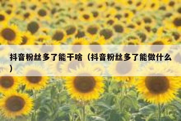 抖音粉丝多了能干啥（抖音粉丝多了能做什么） 第1张