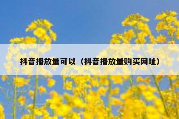 抖音播放量可以（抖音播放量购买网址） 第1张