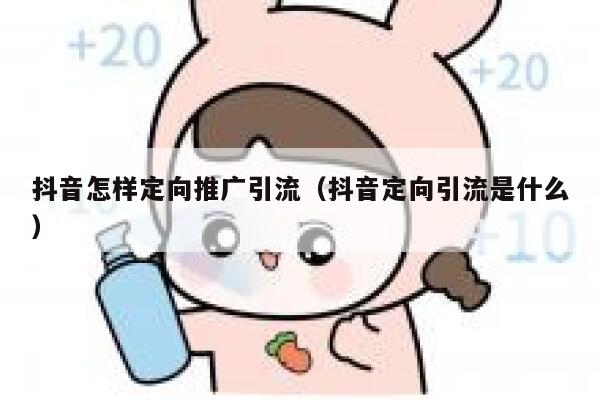 抖音怎样定向推广引流（抖音定向引流是什么） 第1张