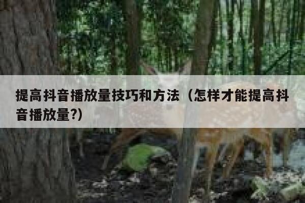 提高抖音播放量技巧和方法（怎样才能提高抖音播放量?） 第1张