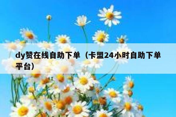 dy赞在线自助下单（卡盟24小时自助下单平台） 第1张