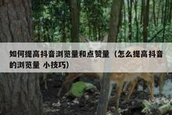 如何提高抖音浏览量和点赞量（怎么提高抖音的浏览量 小技巧） 第1张