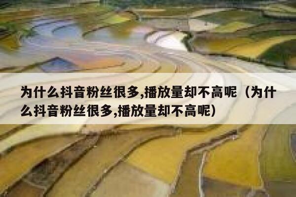 为什么抖音粉丝很多,播放量却不高呢（为什么抖音粉丝很多,播放量却不高呢） 第1张