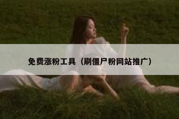 免费涨粉工具（刷僵尸粉网站推广） 第1张
