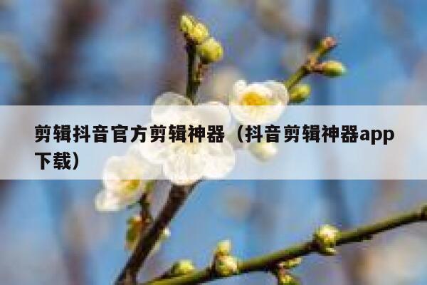 剪辑抖音官方剪辑神器(抖音剪辑神器app下载) 第1张 剪辑抖音官方剪辑神器(抖音剪辑神器app下载) 第1张