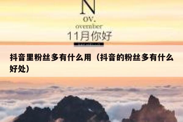 抖音里粉丝多有什么用（抖音的粉丝多有什么好处） 第1张
