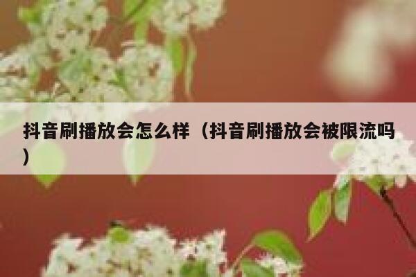 抖音刷播放会怎么样（抖音刷播放会被限流吗） 第1张