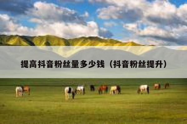 提高抖音粉丝量多少钱（抖音粉丝提升） 第1张
