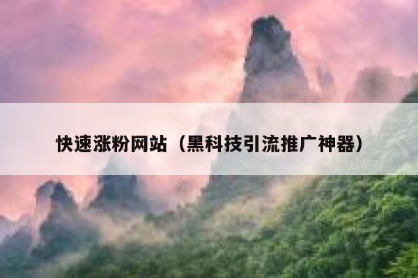 快速涨粉网站（黑科技引流推广神器） 第1张
