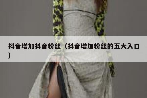 抖音增加抖音粉丝（抖音增加粉丝的五大入口） 第1张