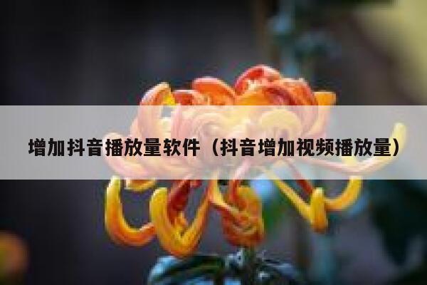 增加抖音播放量软件（抖音增加视频播放量） 第1张