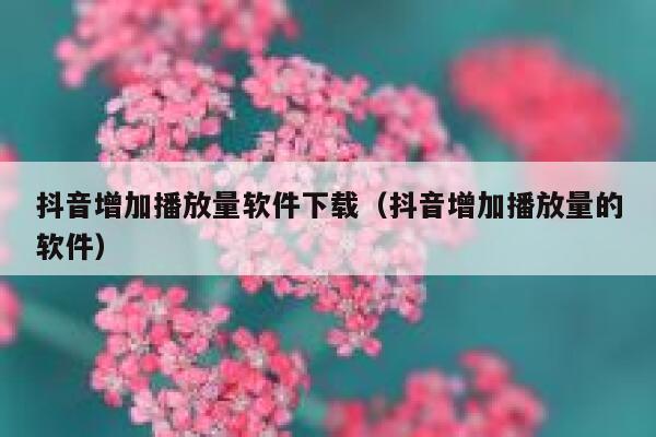 抖音增加播放量软件下载（抖音增加播放量的软件） 第1张