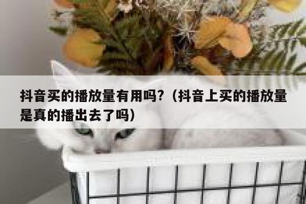 抖音买的播放量有用吗?（抖音上买的播放量是真的播出去了吗） 第1张