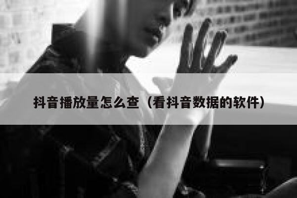 抖音播放量怎么查（看抖音数据的软件） 第1张