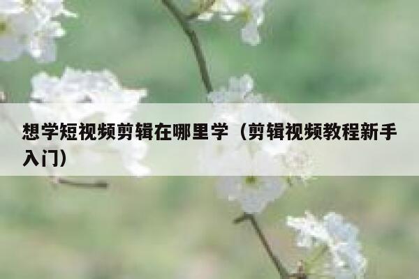 想学短视频剪辑在哪里学（剪辑视频教程新手入门） 第1张