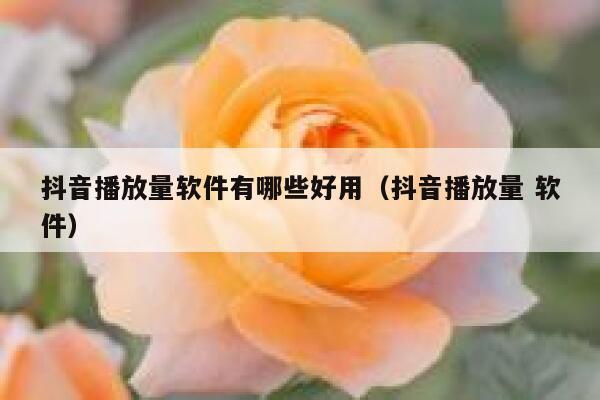 抖音播放量软件有哪些好用（抖音播放量 软件） 第1张