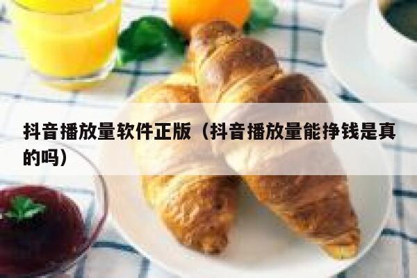 抖音播放量软件正版（抖音播放量能挣钱是真的吗） 第1张