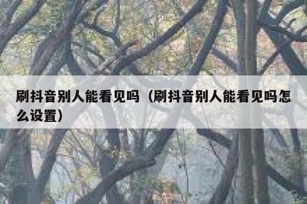 刷抖音别人能看见吗（刷抖音别人能看见吗怎么设置） 第1张