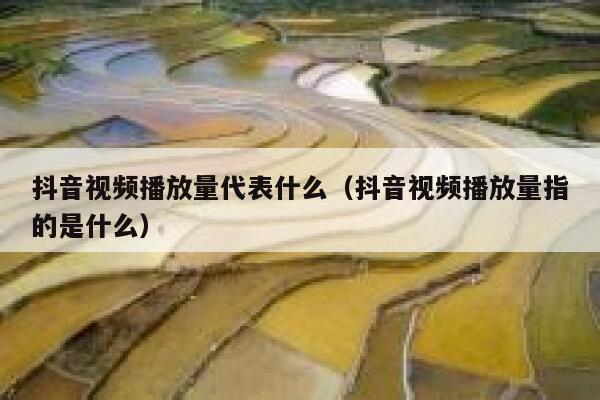 抖音视频播放量代表什么（抖音视频播放量指的是什么） 第1张