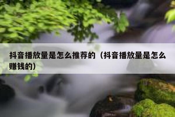 抖音播放量是怎么推荐的（抖音播放量是怎么赚钱的） 第1张