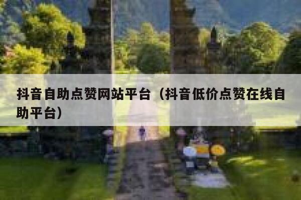 抖音自助点赞网站平台（抖音低价点赞在线自助平台） 第1张