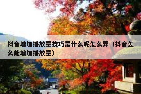 抖音增加播放量技巧是什么呢怎么弄（抖音怎么能增加播放量） 第1张
