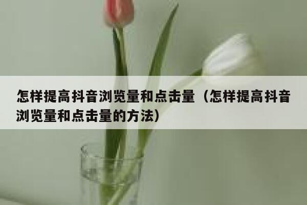 怎样提高抖音浏览量和点击量（怎样提高抖音浏览量和点击量的方法） 第1张