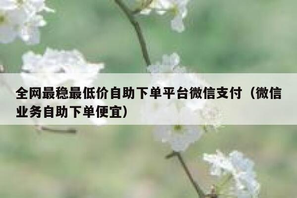 全网最稳最低价自助下单平台微信支付（微信业务自助下单便宜） 第1张
