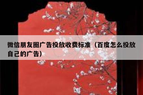 微信朋友圈广告投放收费标准（百度怎么投放自己的广告） 第1张