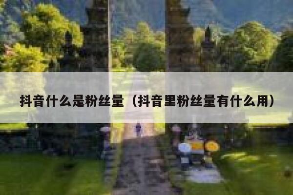 抖音什么是粉丝量（抖音里粉丝量有什么用） 第1张