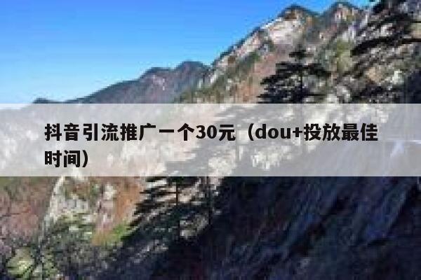 抖音引流推广一个30元（dou+投放最佳时间） 第1张