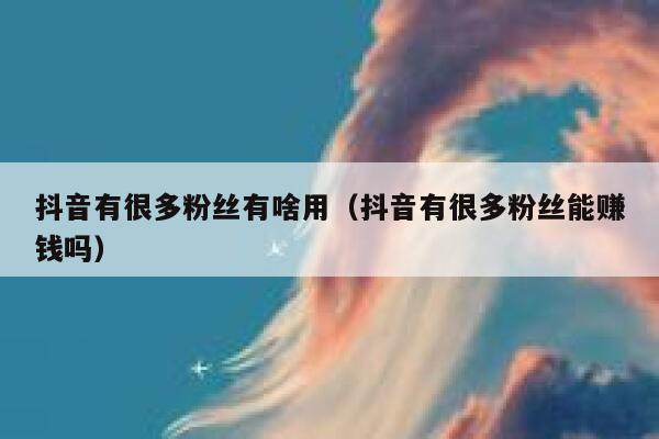 抖音有很多粉丝有啥用（抖音有很多粉丝能赚钱吗） 第1张