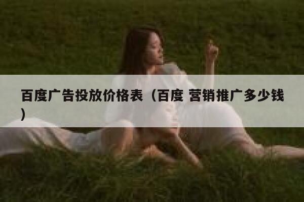 百度广告投放价格表(百度 营销推广多少钱) 第1张 百度广告投放价格表(百度 营销推广多少钱) 第1张