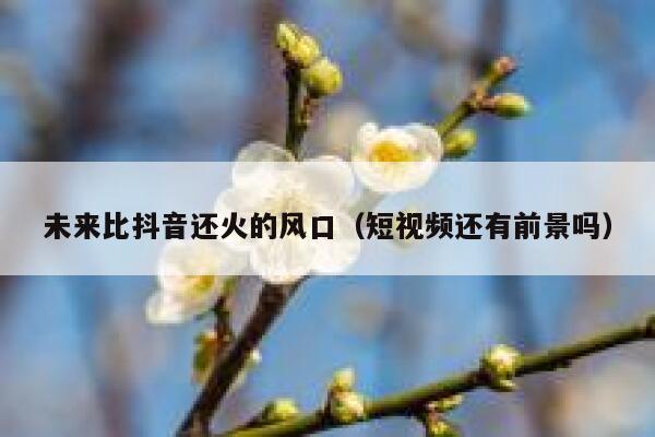 未来比抖音还火的风口（短视频还有前景吗） 第1张