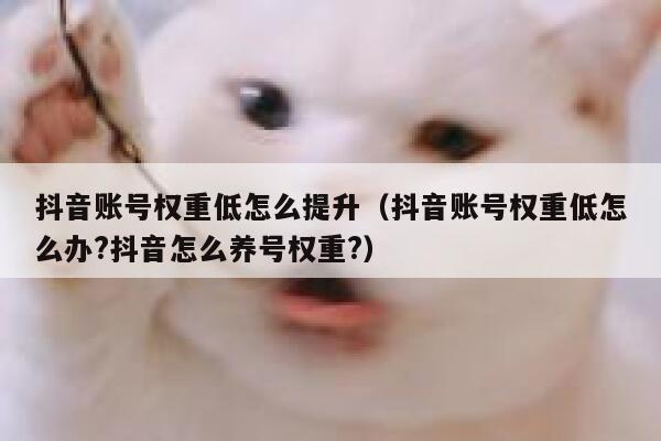 抖音账号权重低怎么提升（抖音账号权重低怎么办?抖音怎么养号权重?） 第1张