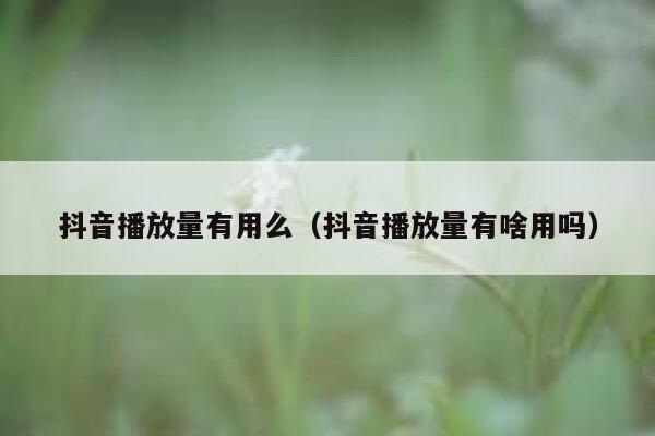 抖音播放量有用么（抖音播放量有啥用吗） 第1张