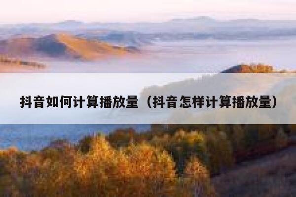 抖音如何计算播放量（抖音怎样计算播放量） 第1张