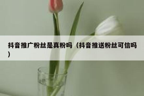 抖音推广粉丝是真粉吗（抖音推送粉丝可信吗） 第1张