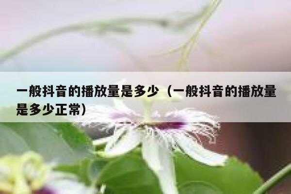一般抖音的播放量是多少(一般抖音的播放量是多少正常) 第1张 一般抖音的播放量是多少(一般抖音的播放量是多少正常) 第1张