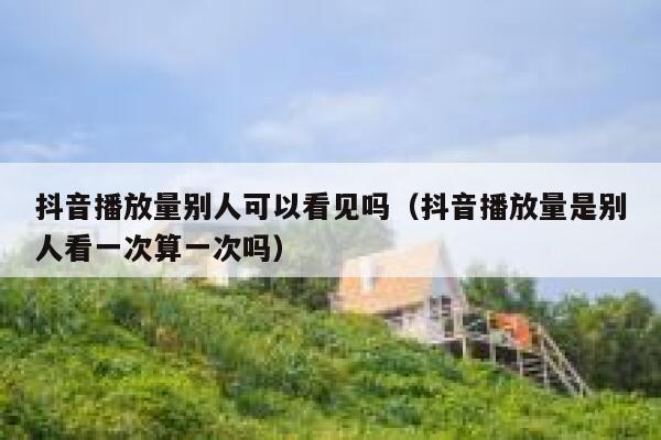 抖音播放量别人可以看见吗（抖音播放量是别人看一次算一次吗） 第1张