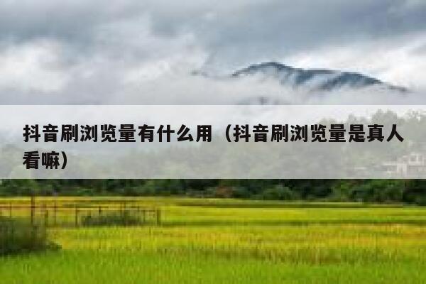 抖音刷浏览量有什么用（抖音刷浏览量是真人看嘛） 第1张