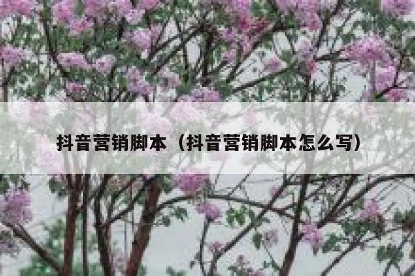 抖音营销脚本（抖音营销脚本怎么写） 第1张
