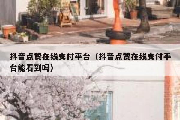 抖音点赞在线支付平台（抖音点赞在线支付平台能看到吗） 第1张