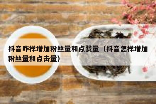 抖音咋样增加粉丝量和点赞量(抖音怎样增加粉丝量和点击量) 第1张 抖音咋样增加粉丝量和点赞量(抖音怎样增加粉丝量和点击量) 第1张